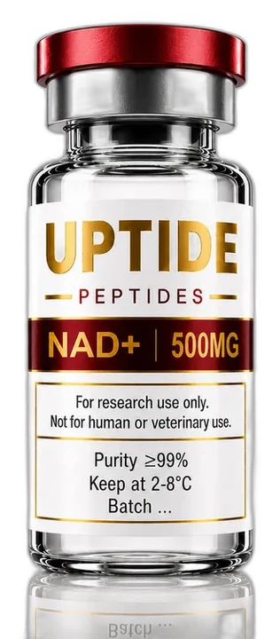 NAD+ — Uptide research-grade vial